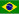 Portugues - Brasil